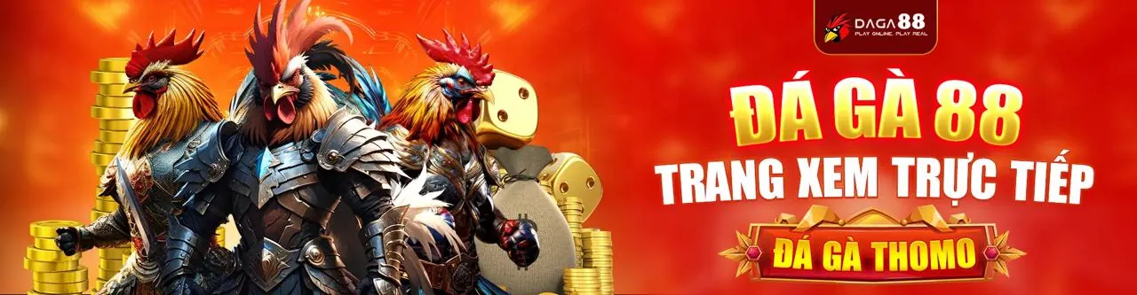 Sân chơi đá gà trực tuyến fv88